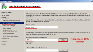 Указываем параметры IPv4 DNS-сервера.