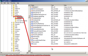 Параметры реестра БД DHCP.