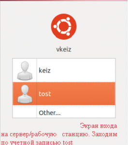 Интерфейс входа в систему Ubuntu 10.10 под пользователем tost.