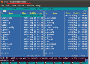 Двух-панельное меню работы с mc.