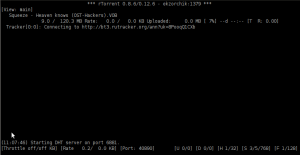 Главное окно консольного Torrent клиента на переднем фоне.