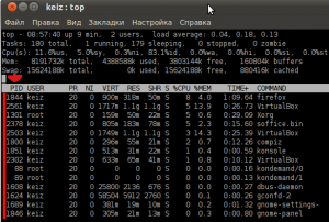 Запускаем утилиту top для вывода списка процессов и данных по ним в запущенной системе.